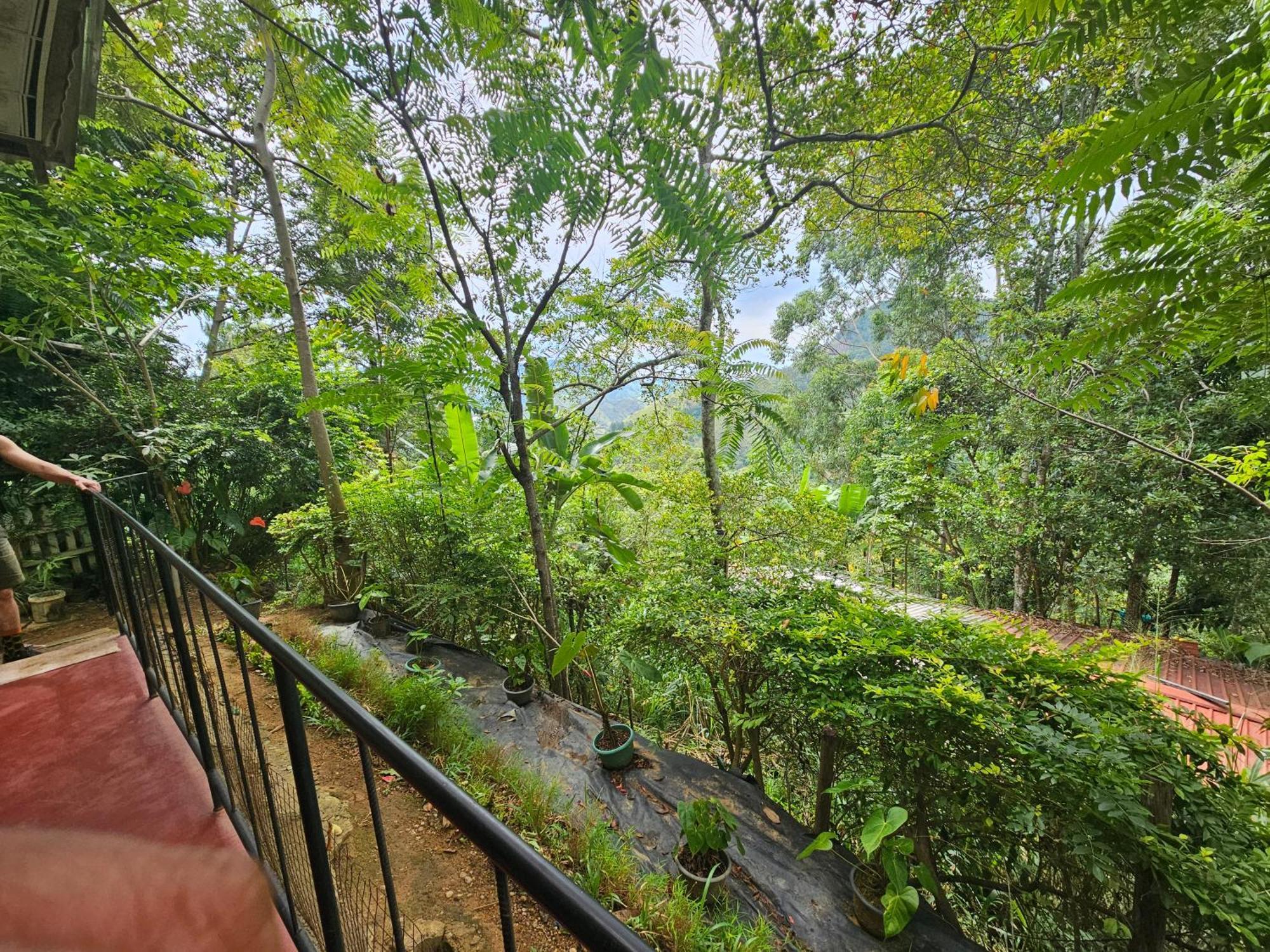 Opal Cottage Ella Ngoại thất bức ảnh
