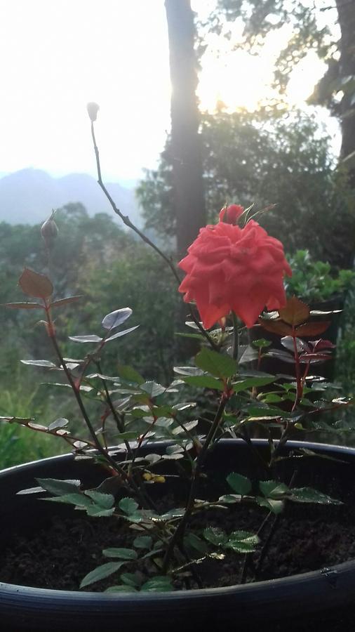 Opal Cottage Ella Ngoại thất bức ảnh