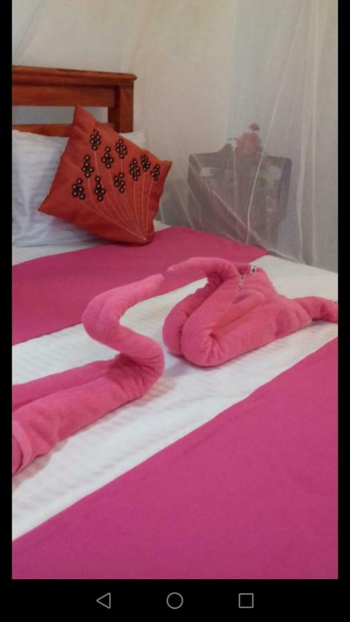 Opal Cottage Ella Ngoại thất bức ảnh